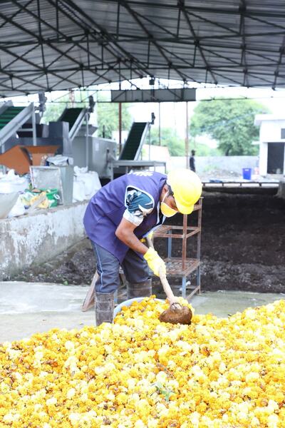 Moving marigold waste to the processing line