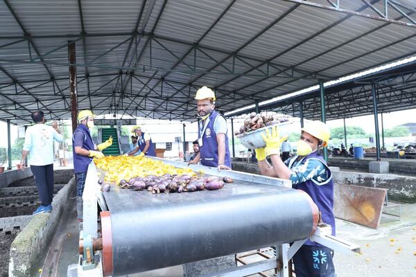 Our team at the sorting line